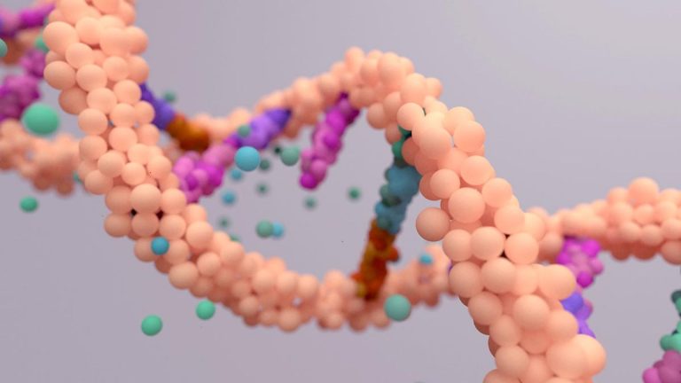 Preimplantation Genetic Screening PGS