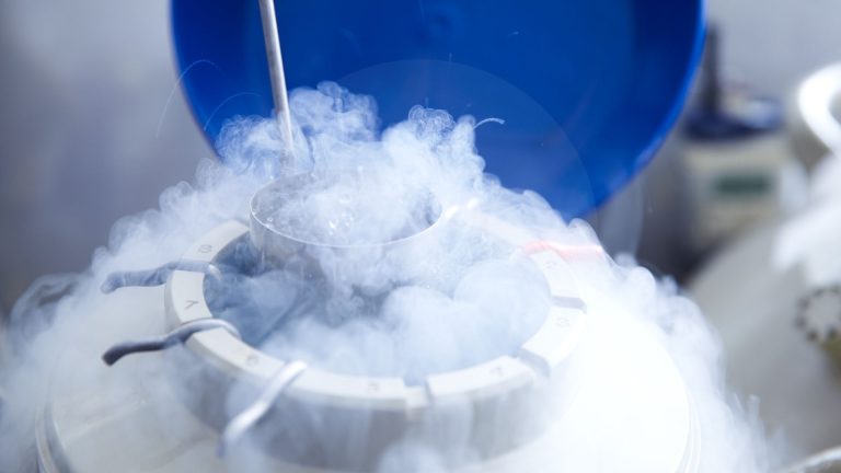 Eicel invriezen Cryopreservatie