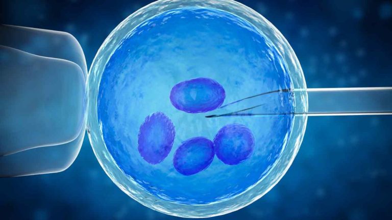 Preïmplantatie genetische diagnose