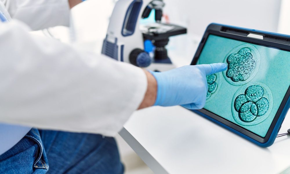 Wat is eicel-, sperma- en embryodonatie Een gids voor IVF-behandelingen met donoren