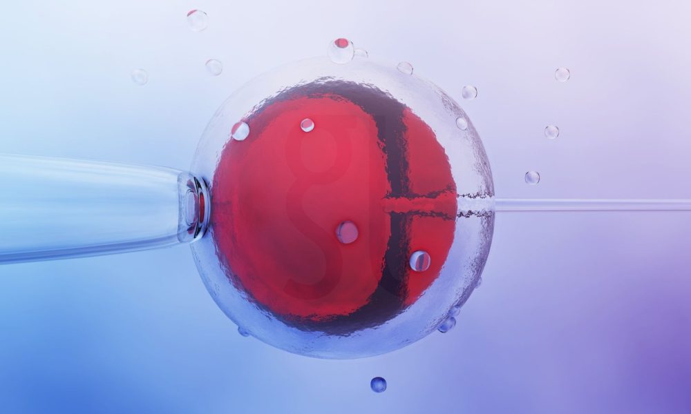 Wat is IVF? Een complete gids voor in-vitrofertilisatie