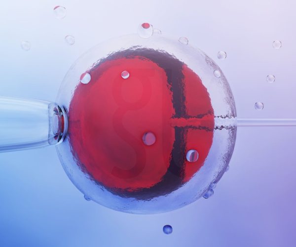 Wat is IVF? Een complete gids voor in-vitrofertilisatie