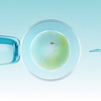 ivf