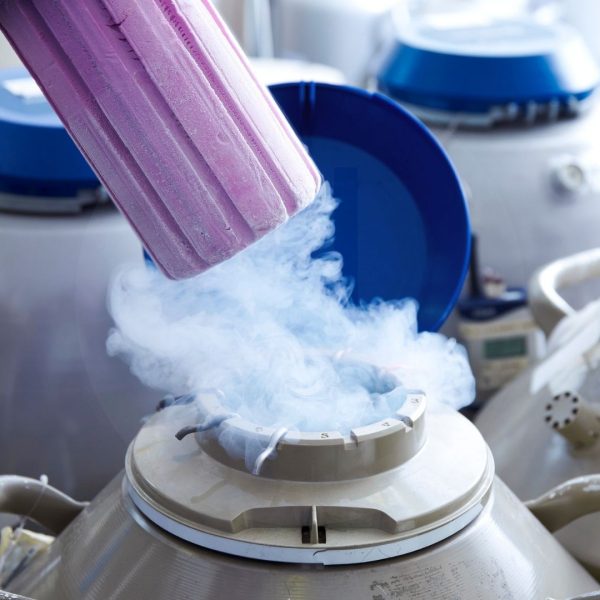 ivf cyprus vruchtbaarheid