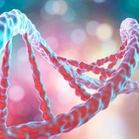 Single Gene Disorders