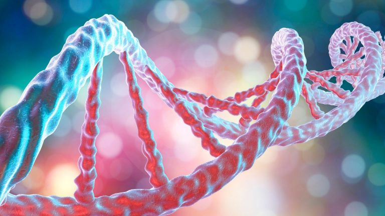Single Gene Disorders
