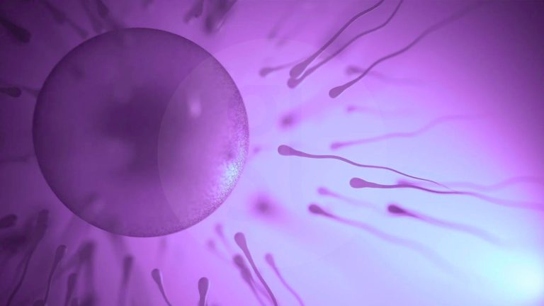 De Embryo Pooling-methode